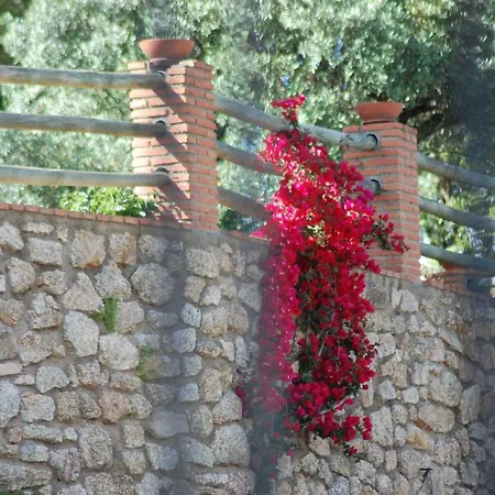 Alojamento de Turismo Rural Detached 4 Bedroom With Pool *
